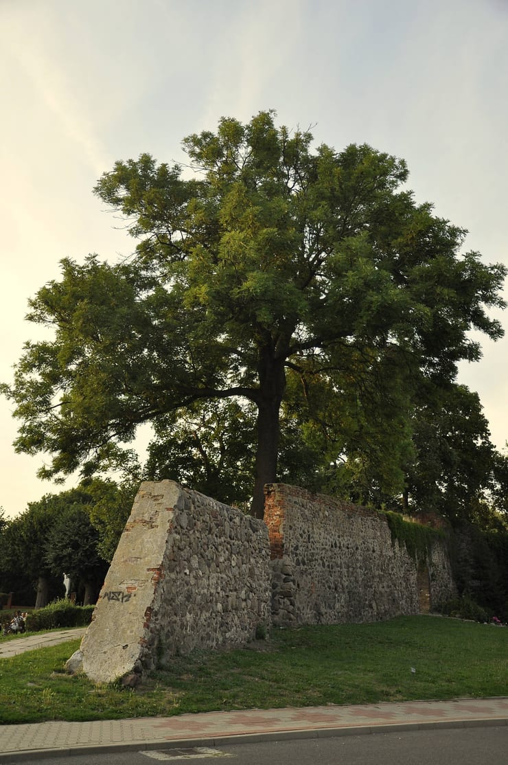 Obwarowania miejskie Myśliborza