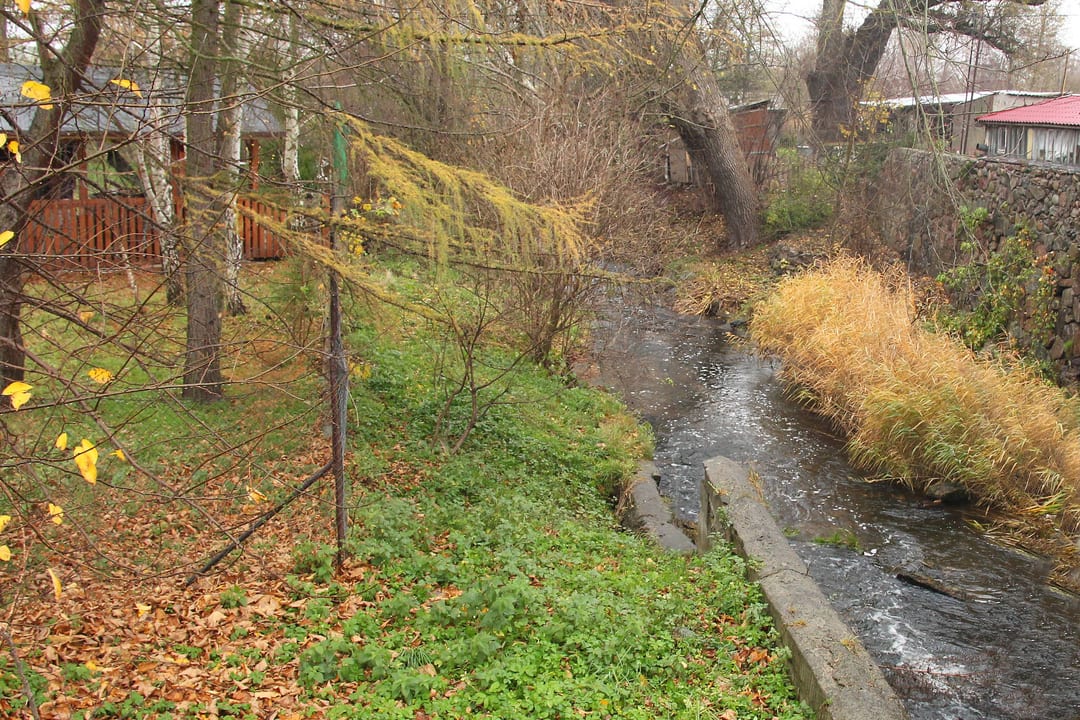 Dębosznica