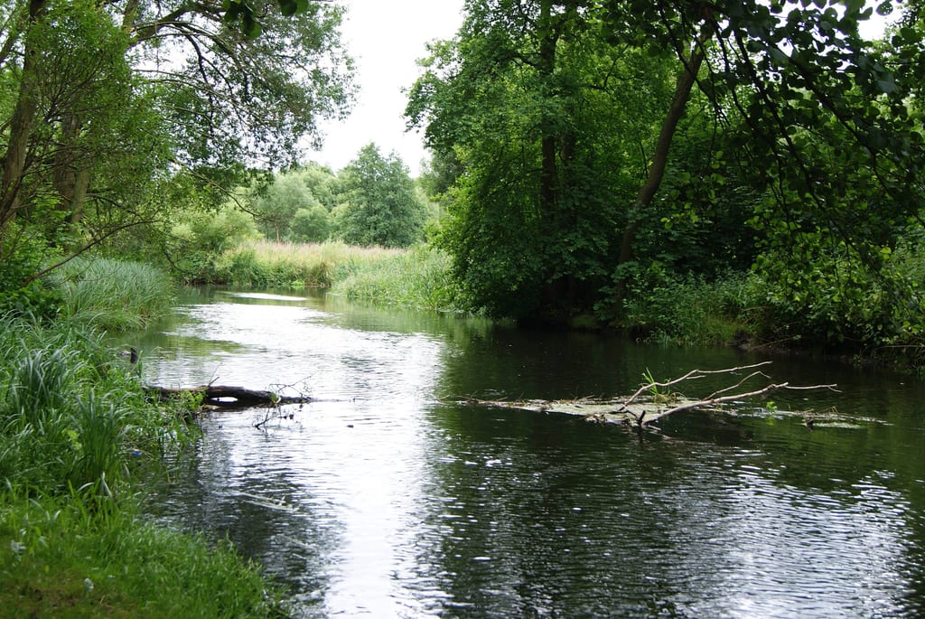 Dorzecze Regi