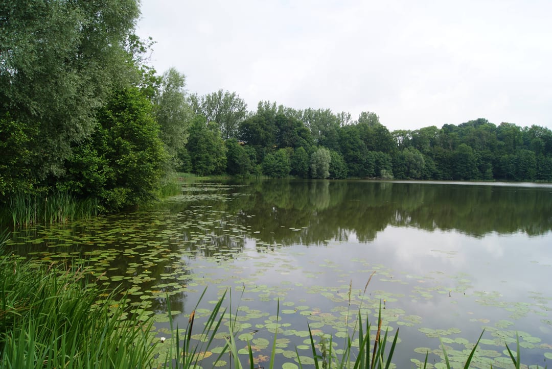 Jezioro Dłusko