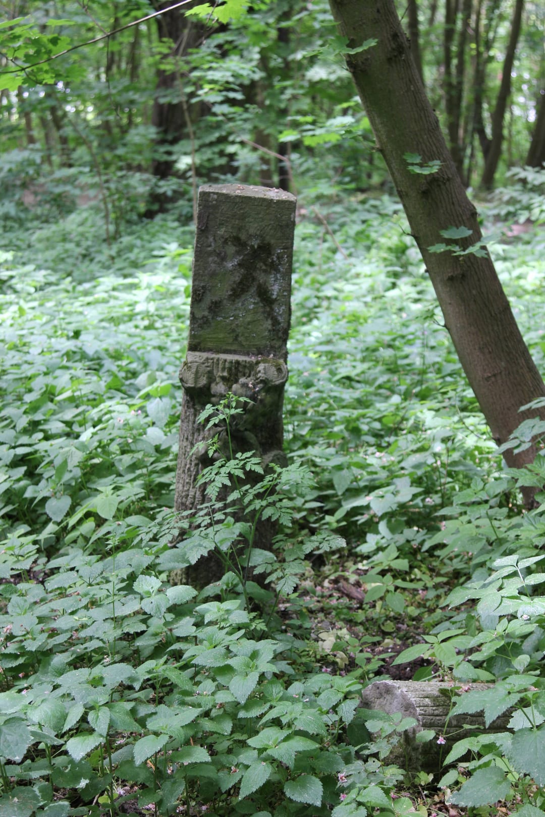 Cmentarz przykościelny