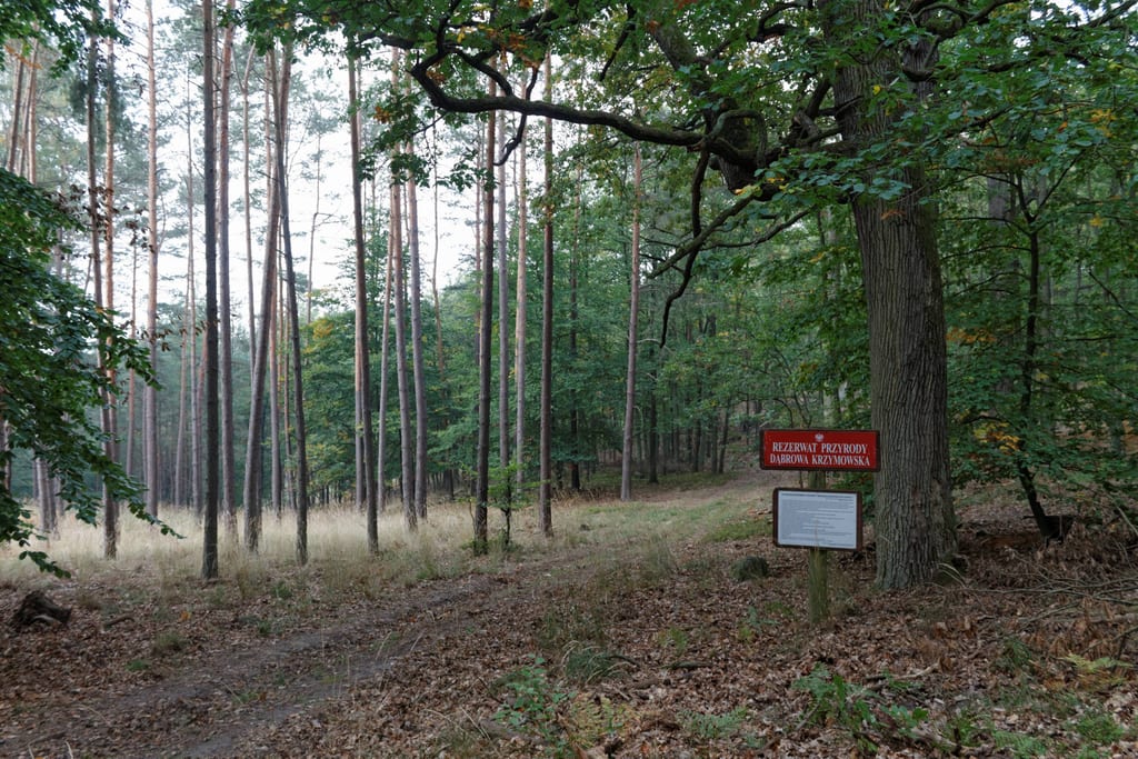 Wzgórza Krzymowskie