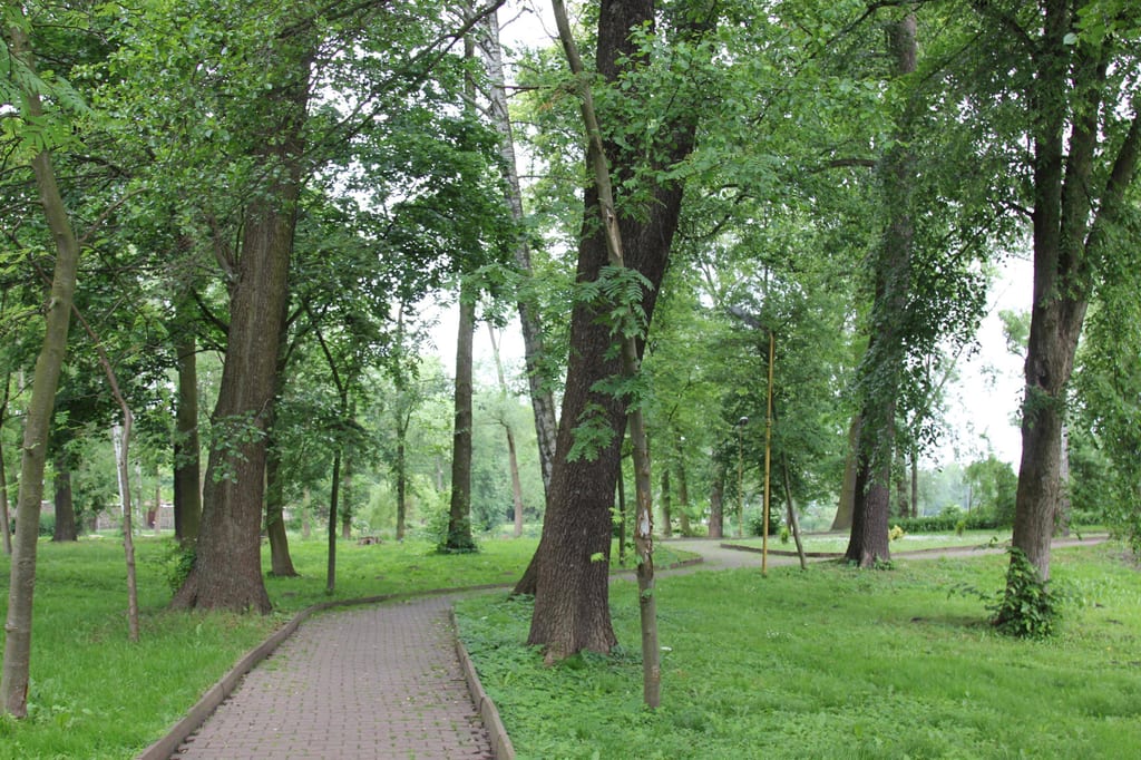 Park zdrojowy