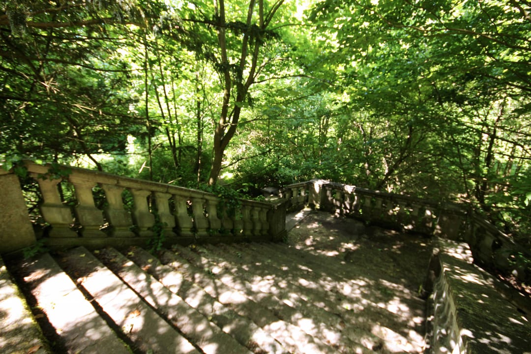 Park przypałacowy