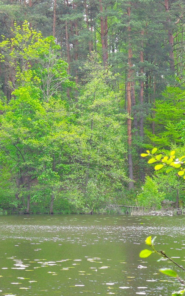 Jezioro Karpiowe
