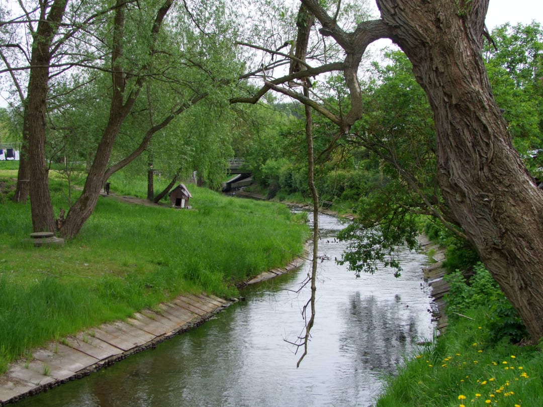 Cieszynka