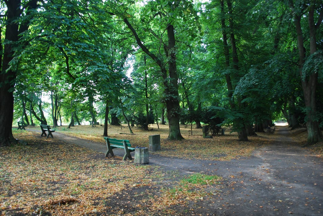 Park przy ul. Nehringa