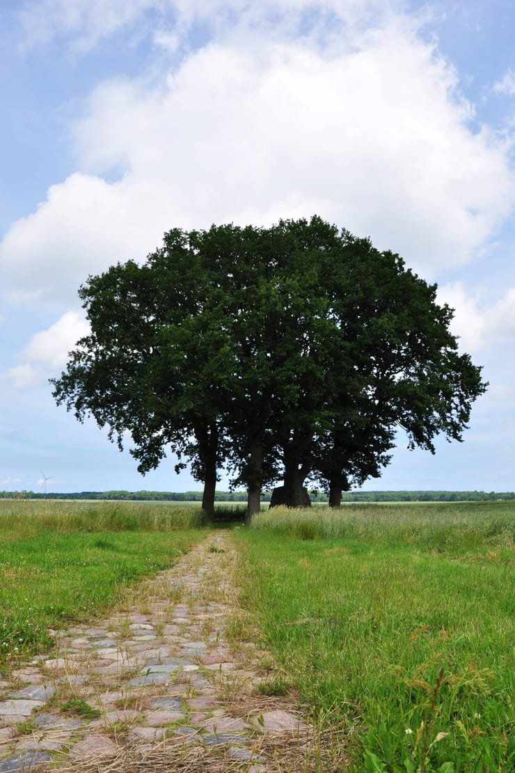 Studnia św. Ottona z Bambergu