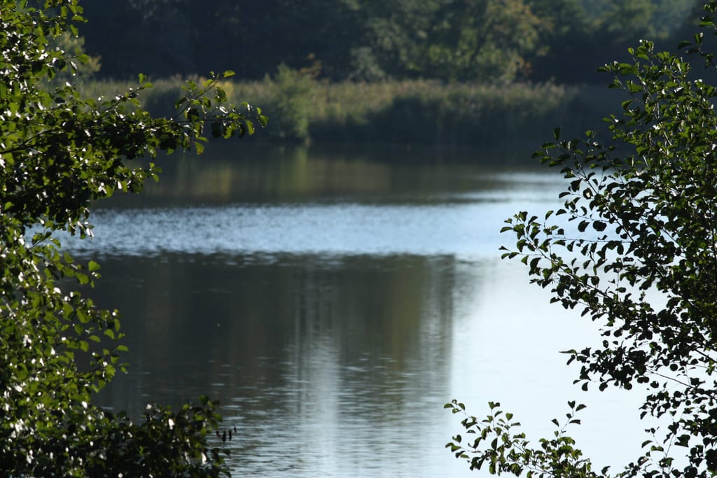 Jezioro Lubicz