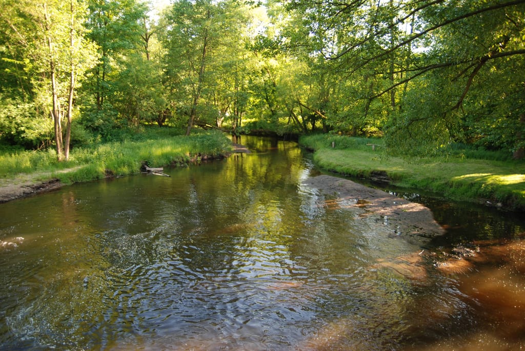 Gowienica